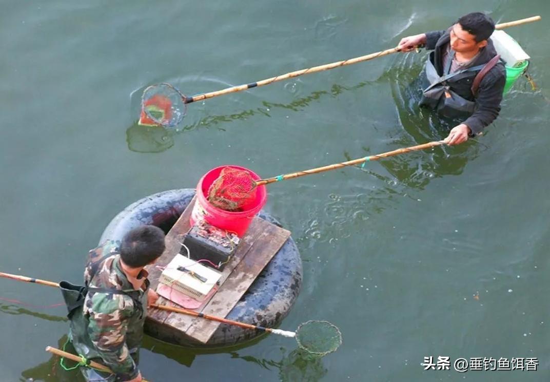 梅溪湖现几十斤巨鳖,46斤百年巨鳖被发现