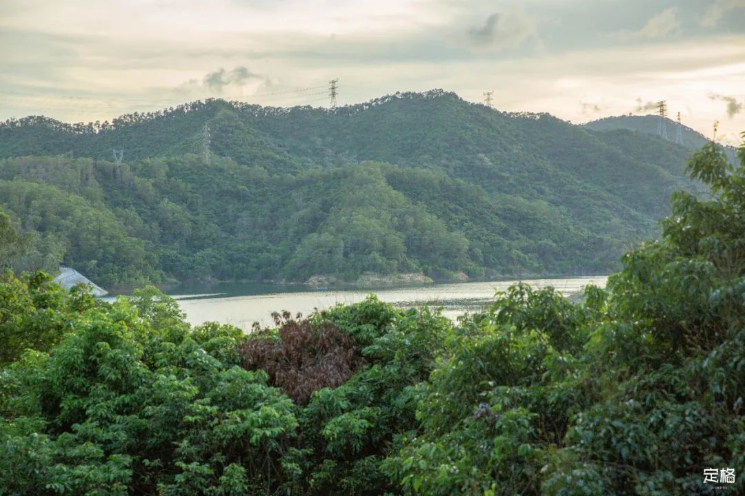 深圳九条最美绿道图片,这些深圳绿道骑出你的美