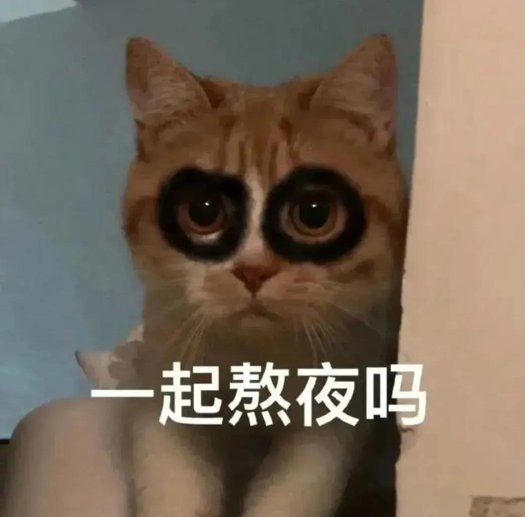 可爱表情包|你能那我怎么样