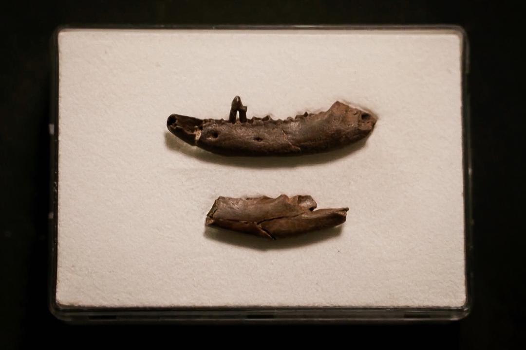 2022年十大必看大片,2022年最震撼视频