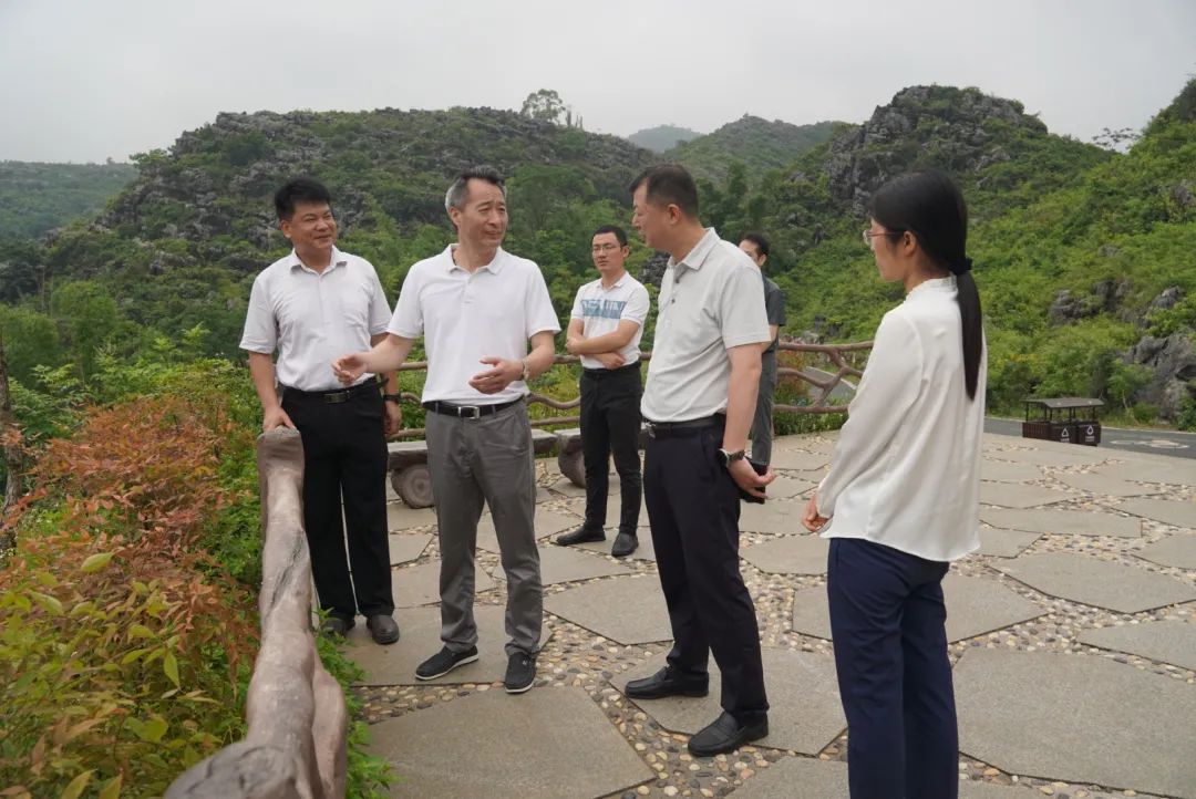 桂林市七星区书记裴军,桂林七星区书记裴军