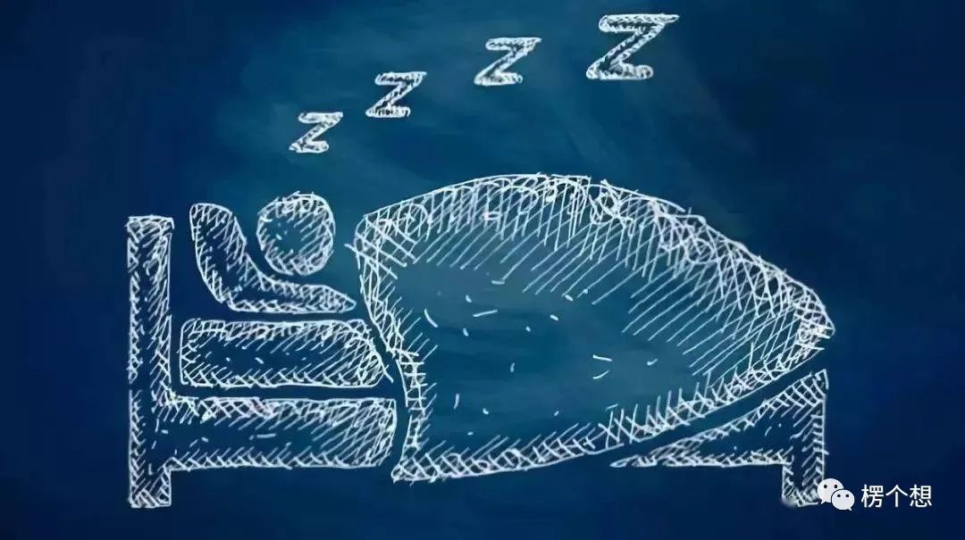 关于睡眠的最新研究,睡眠的谬误与常识