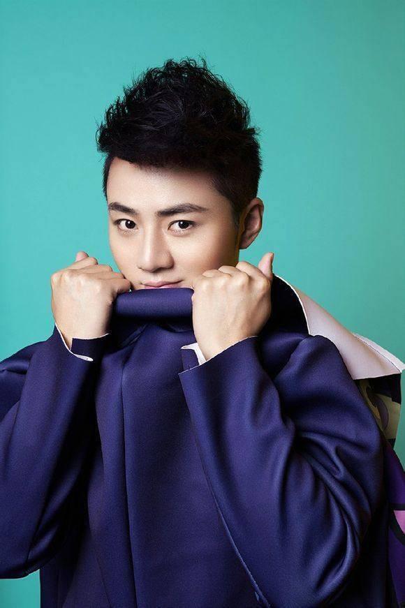 余少群当年有多火,余少群的巅峰时期