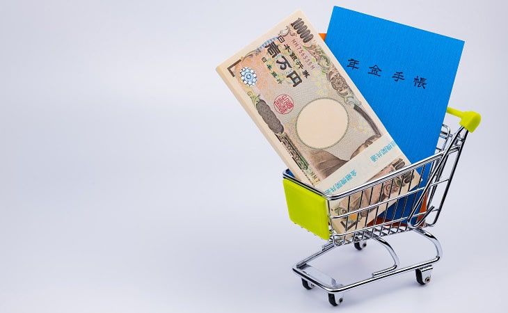 日本有没有养老金制度,日本定居养老政策