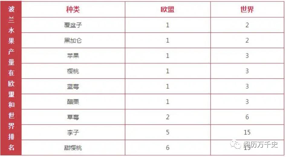 8分钟了解波兰历史,五分钟了解一个国家美国