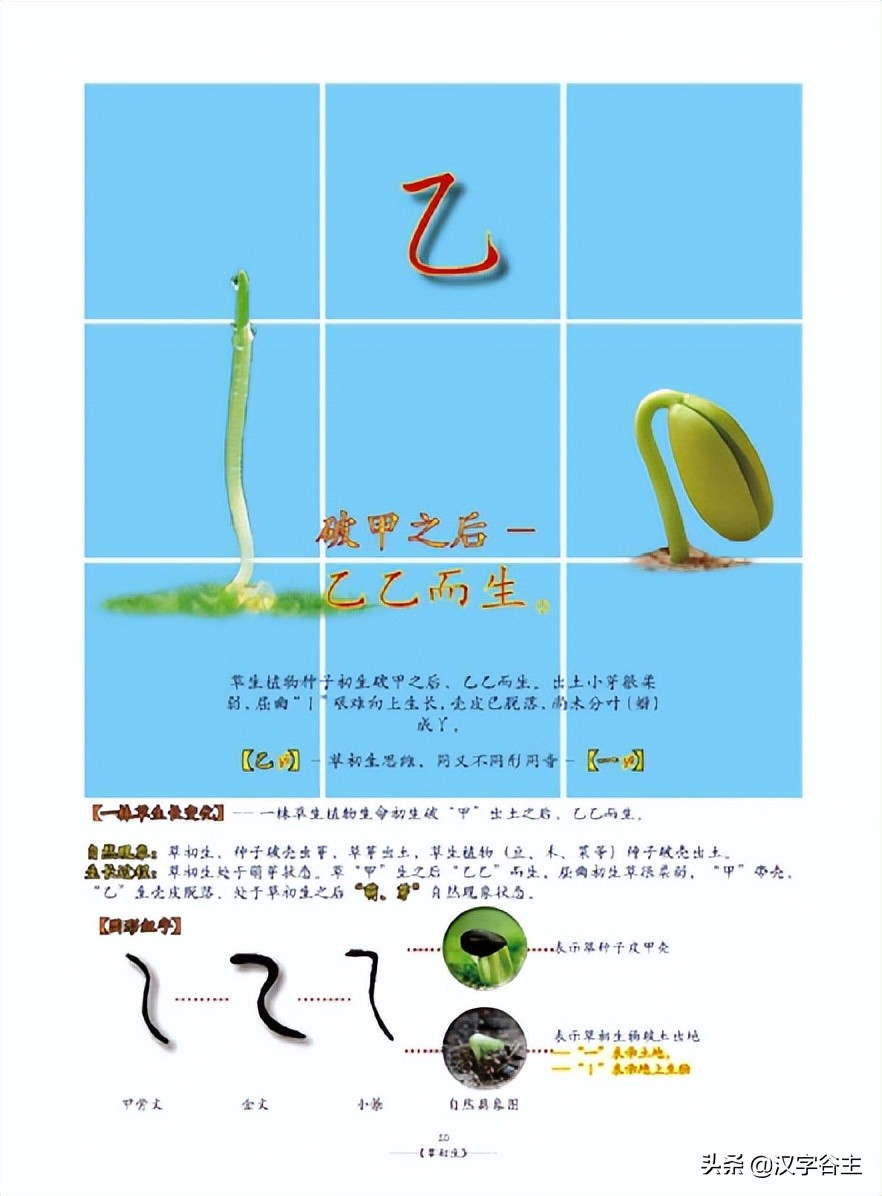 姹夊瓧妞嶇墿,鑽夋湪姹夊瓧