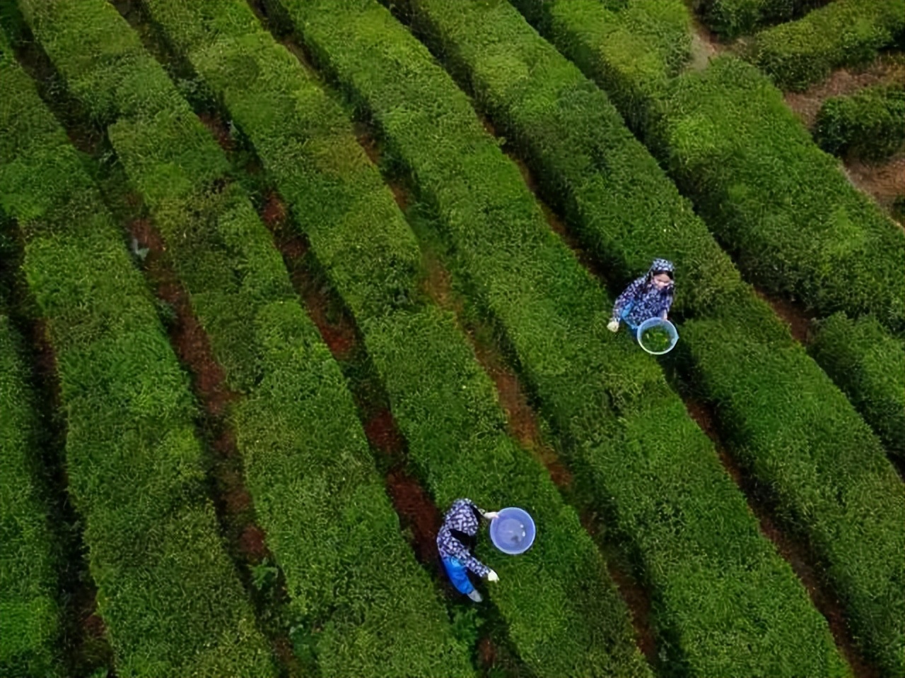 广东惠州旅游攻略3天自由行,惠州罗浮山2天一夜游
