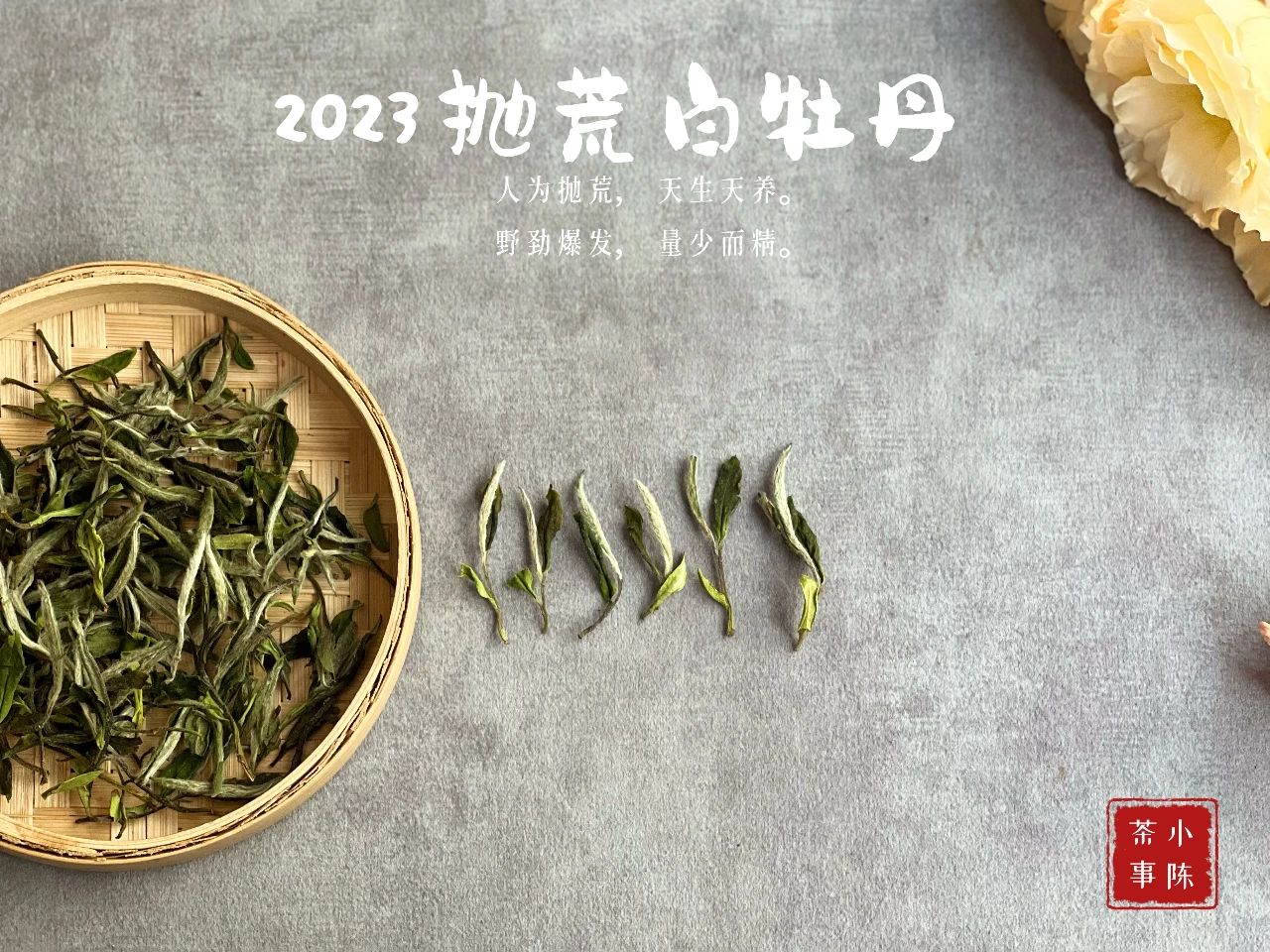 七里香夜来香,七里香丁香花