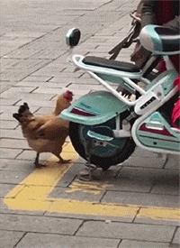 大爷你这是刚挖煤回来吗，另外你这车还挺个性的，这方向盘牛