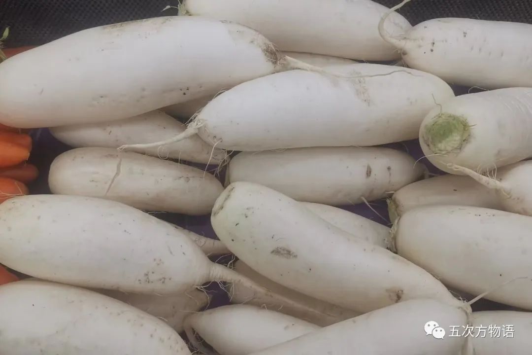 萝卜的这个小知识你知道了吗 (关于萝卜的百科知识有哪些)