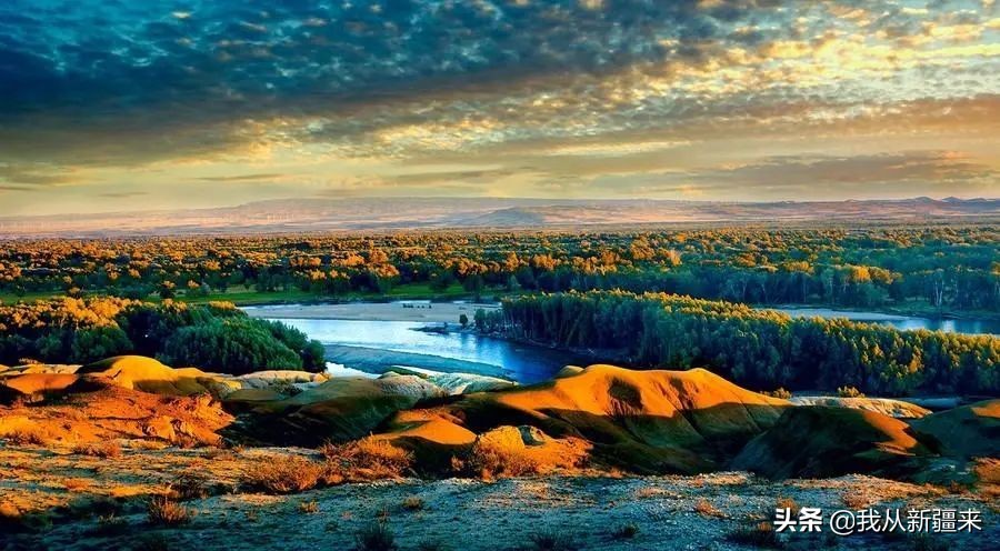 omg眼影青蓝紫 (omg眼影)