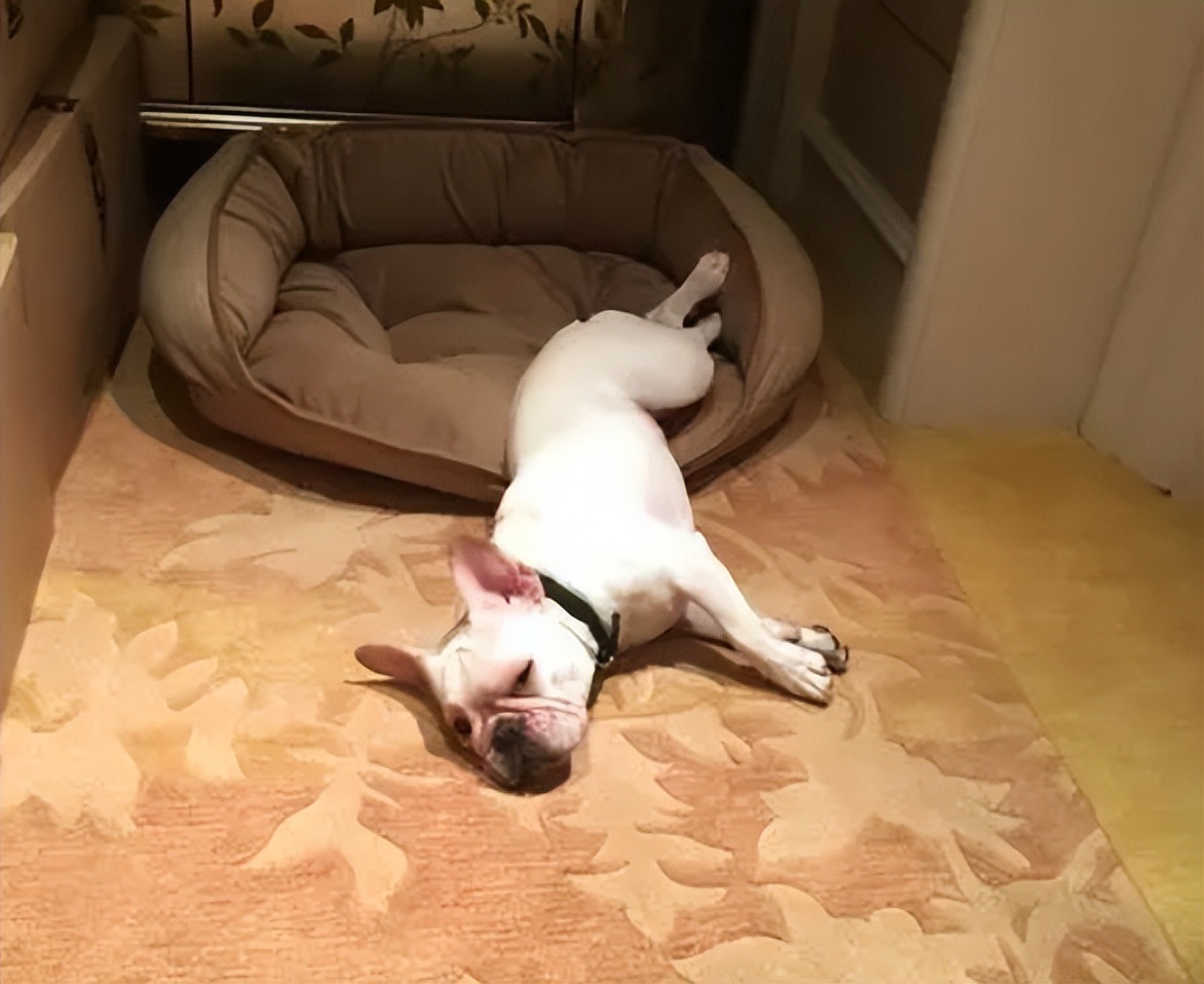 邓超：含金量最低的百亿影帝，和冯小刚结仇十年，坐拥4套豪宅