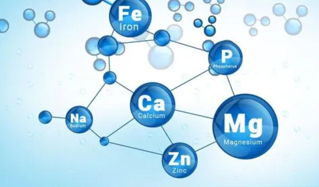 亚硫酸氢钠是一种两性物质，它的酸碱性取决于什么？