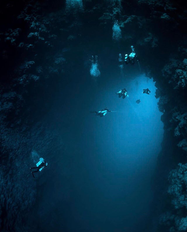 未解之谜深海巨蟒多大,海洋巨蟒真实图片大全