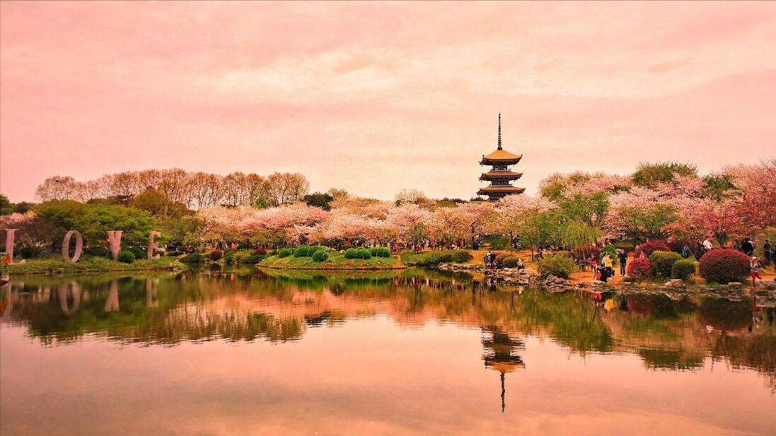 100个家族族谱图解,湖北省家谱族谱合集寻根问祖资料