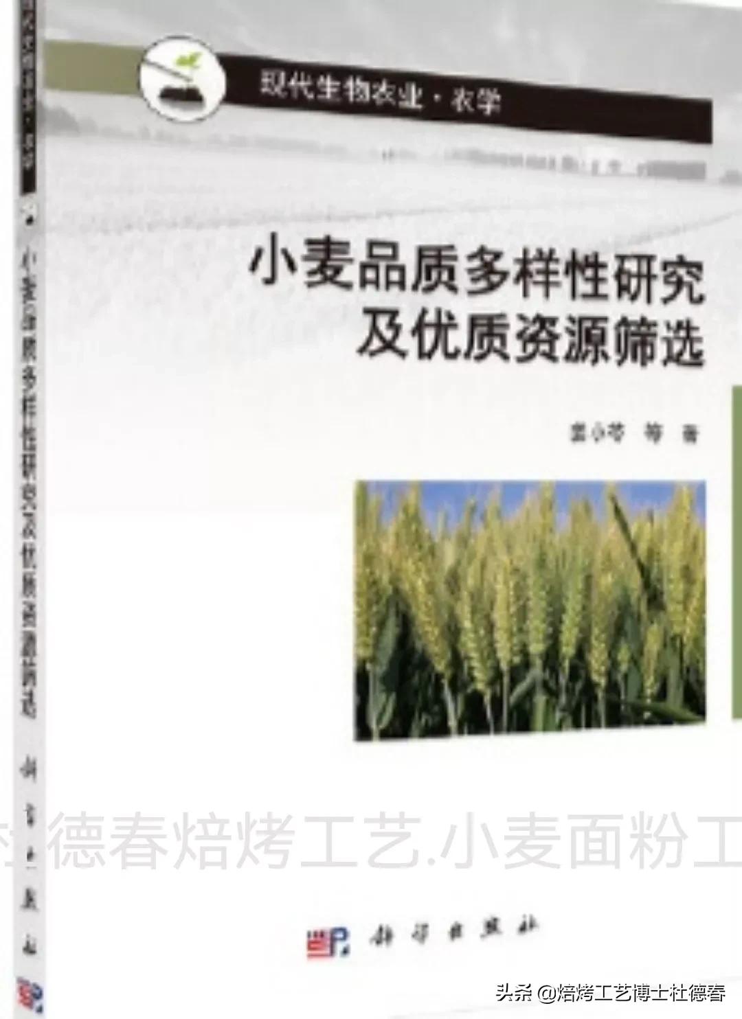 做面包饺子用什么面粉,做水饺馒头用什么面粉最好