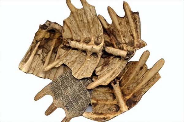 脾肾两虚肝硬化中药处方,肝硬化瘀血中医治疗方法