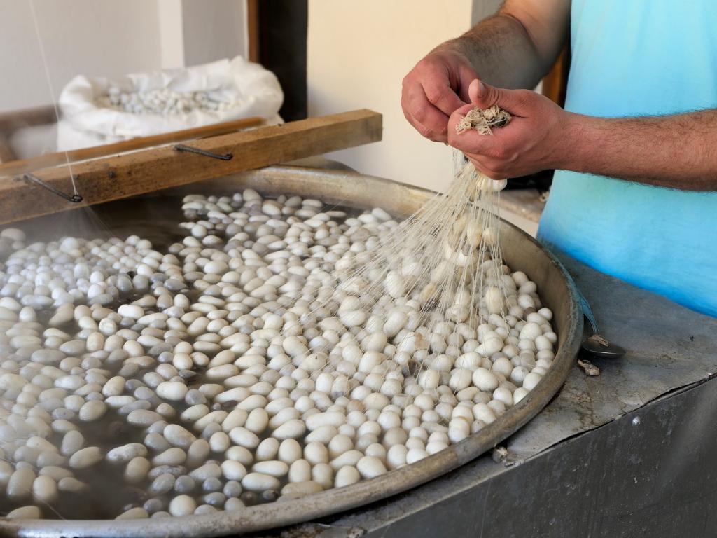 怎么鉴别是真蚕丝还是假蚕丝,怎样检测蚕丝被的真假