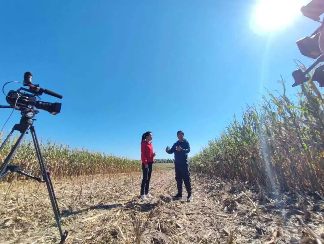 编导手记|勃利：厚积薄发东北大地焕新颜——吕明月