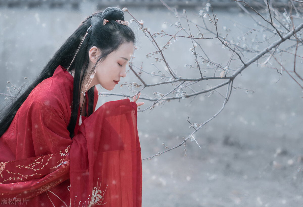 新年祝福语古风文案短句,古诗词新年祝福文案短句