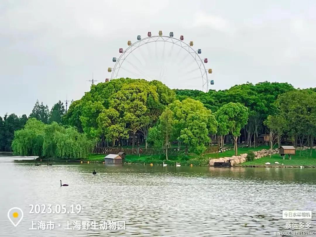 上海野生动物园和上海动物园,上海野生动物园过年营业时间