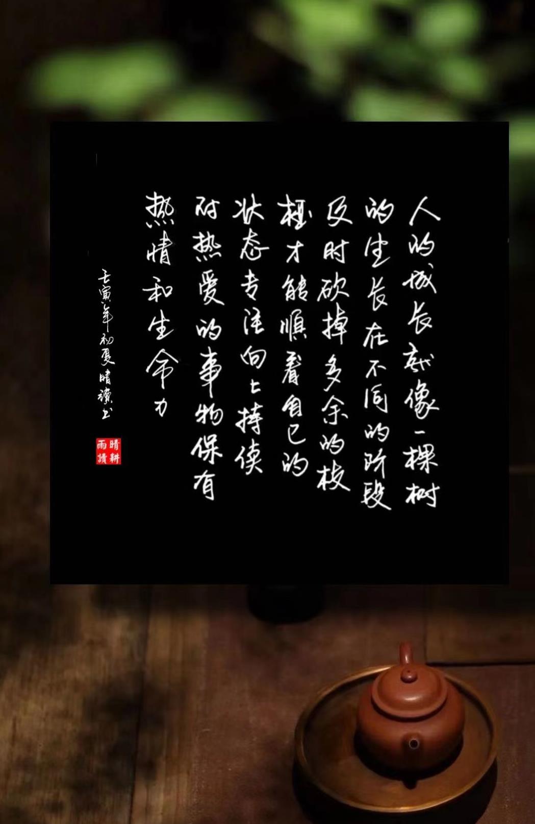 什么是自由什么是无忧无虑,什么是自由的感悟