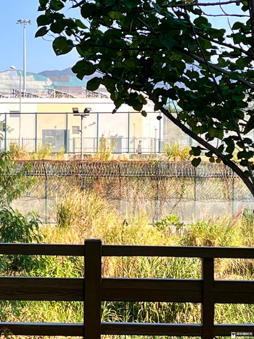 封关600天，他们在深港边境团聚，相隔97米