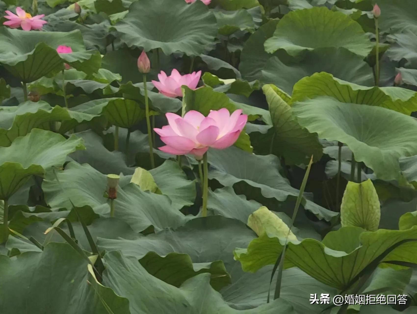 端午节送父母礼物,端午节送父母哪些比较合适