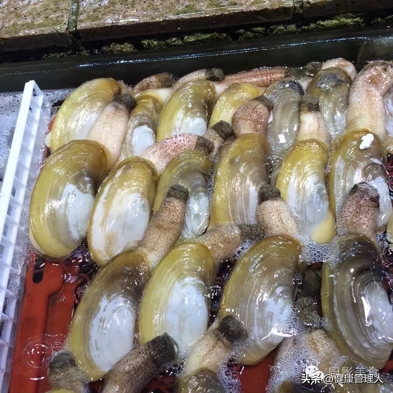 世界顶级海鲜食材,世界顶级的海鲜视频