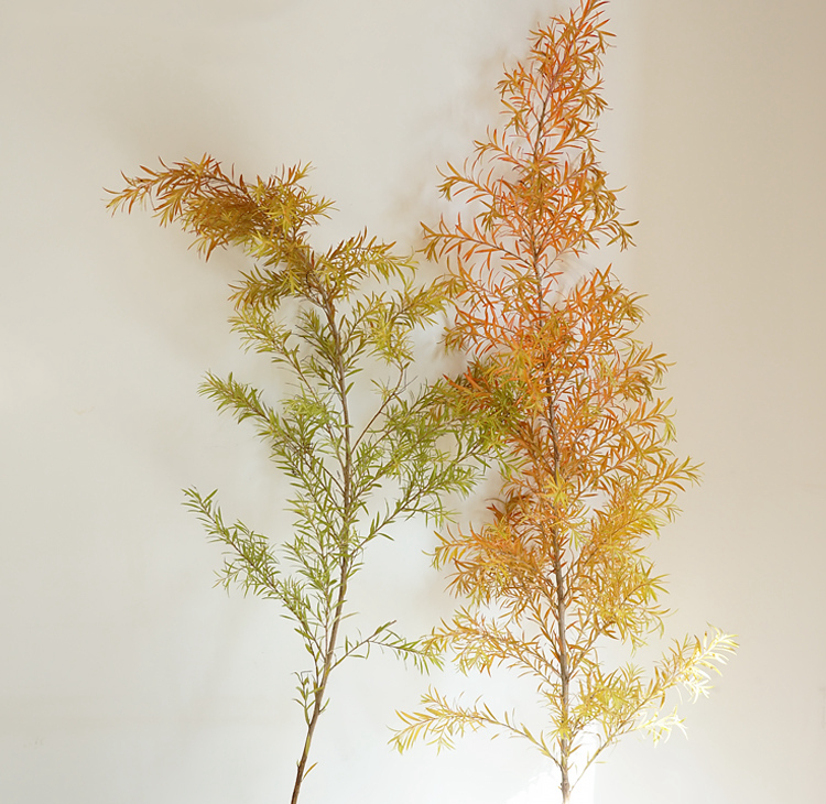 极简省钱又环保的居家生活,4款高颜值家居绿植