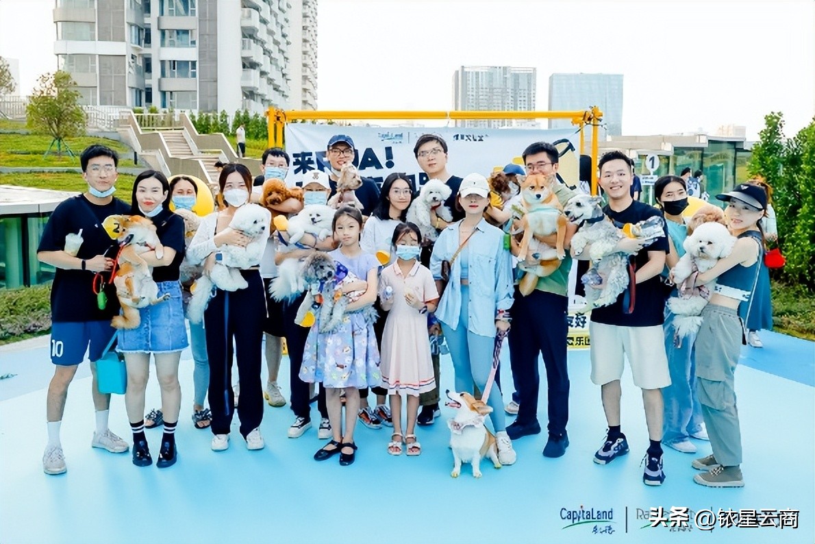 2022年最热门改造项目,2022年重点项目改造时间表