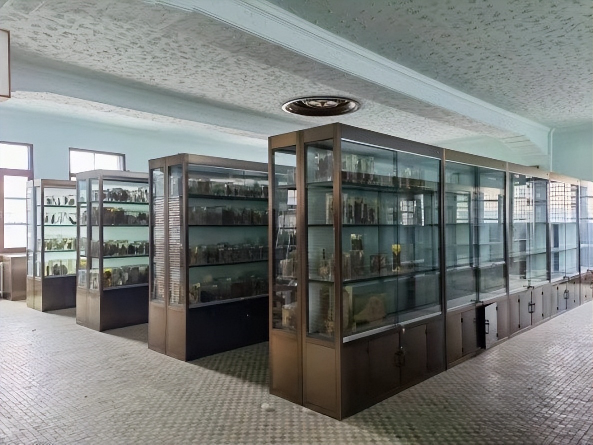 吉林大学白求恩基础医学院,吉林大学白求恩医学部基础医学院