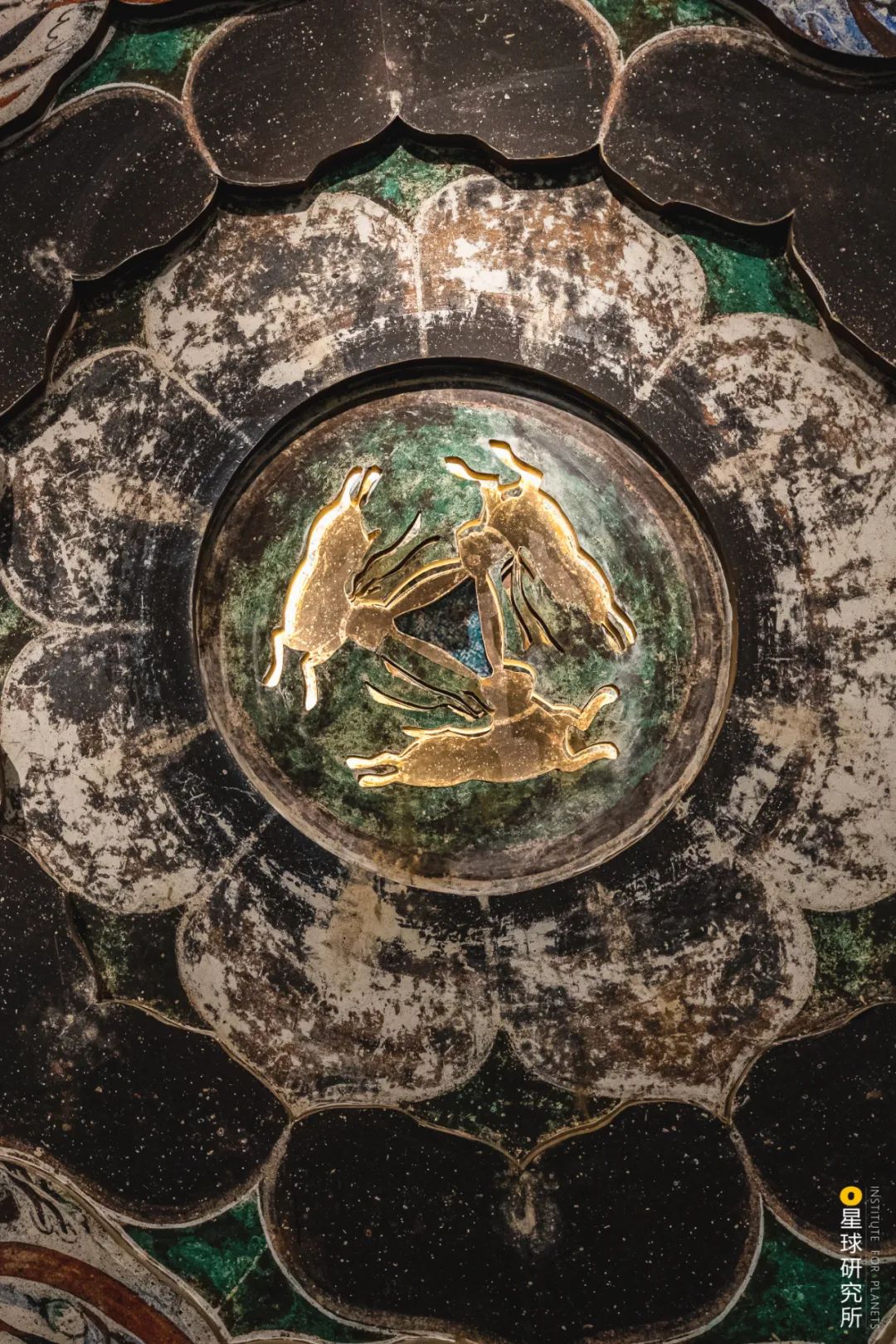 兔年来了,兔年来了怎么样