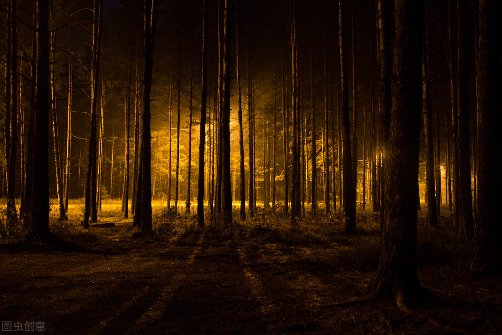 人能与鬼通—天涯左央事件