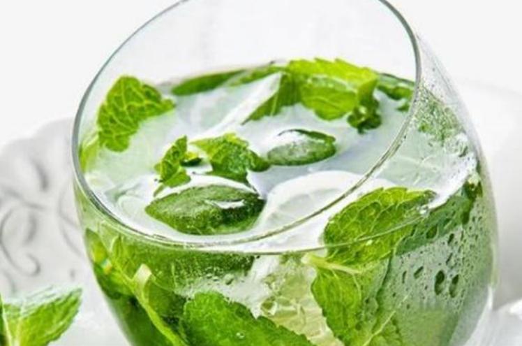 夏季炎热适合喝的茶有哪些,夏天太热喝什么才是清热解毒的茶