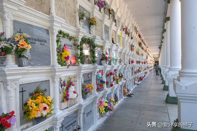 211冷门专业和普通本科王牌专业,985211冷门专业排名前十名