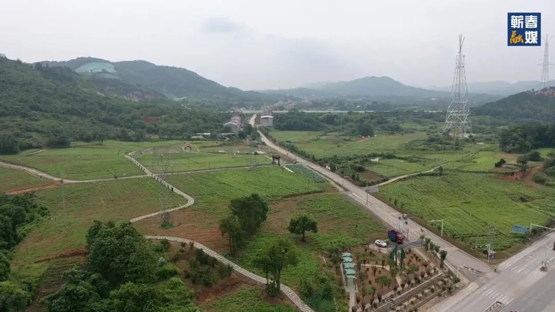 直击现场合集,直击现场拍摄