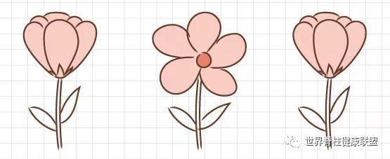 “啪啪啪”的玄机，原来在这块肌肉上