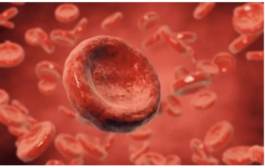 宝鸡发现一例稀有血型,陕西宝鸡18岁女孩罕见的血型