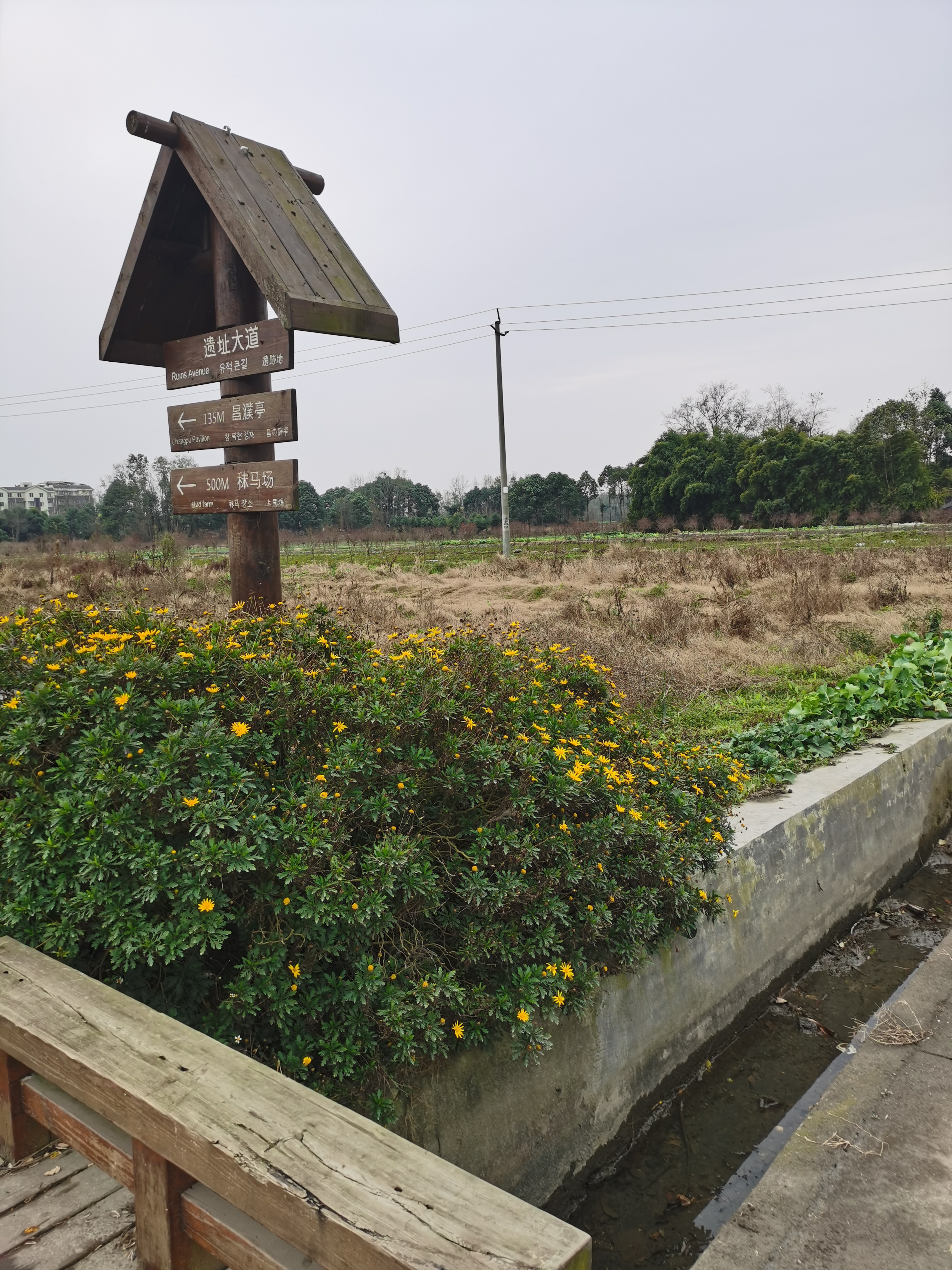 郫县古城遗址游玩攻略,成都之行圆满结束