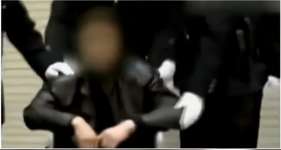 证人指证刘汉庭审视频,刘汉兄弟被审视频