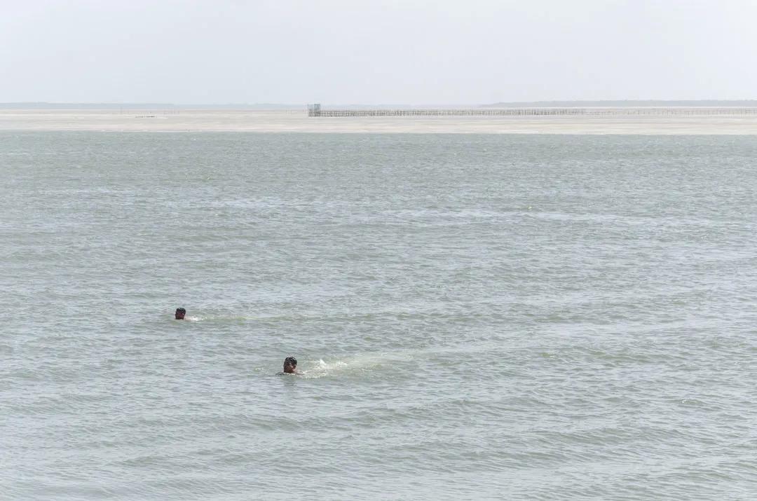 巴西这种鱼类衍生品分文不值，被中国炒到了1000一斤