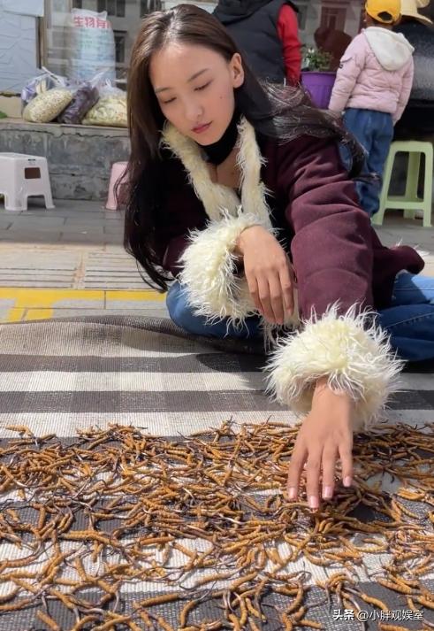 冬虫夏草做嫁妆,冬虫夏草当零食吃的