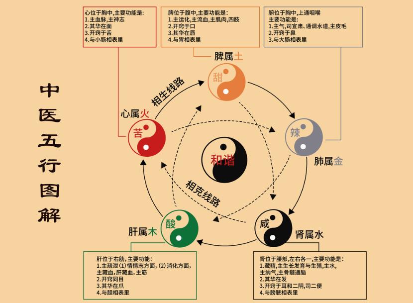 春季养生的关键是什么,春季怎么解决春困