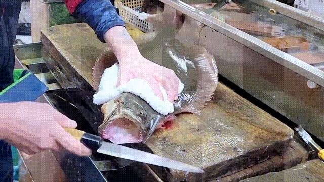 日本最残酷的杀鱼方式,日本人杀鱼绝招