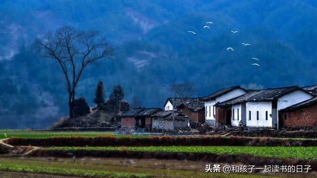 梅西为什么百年一遇,梅西标志性庆祝动作是什么