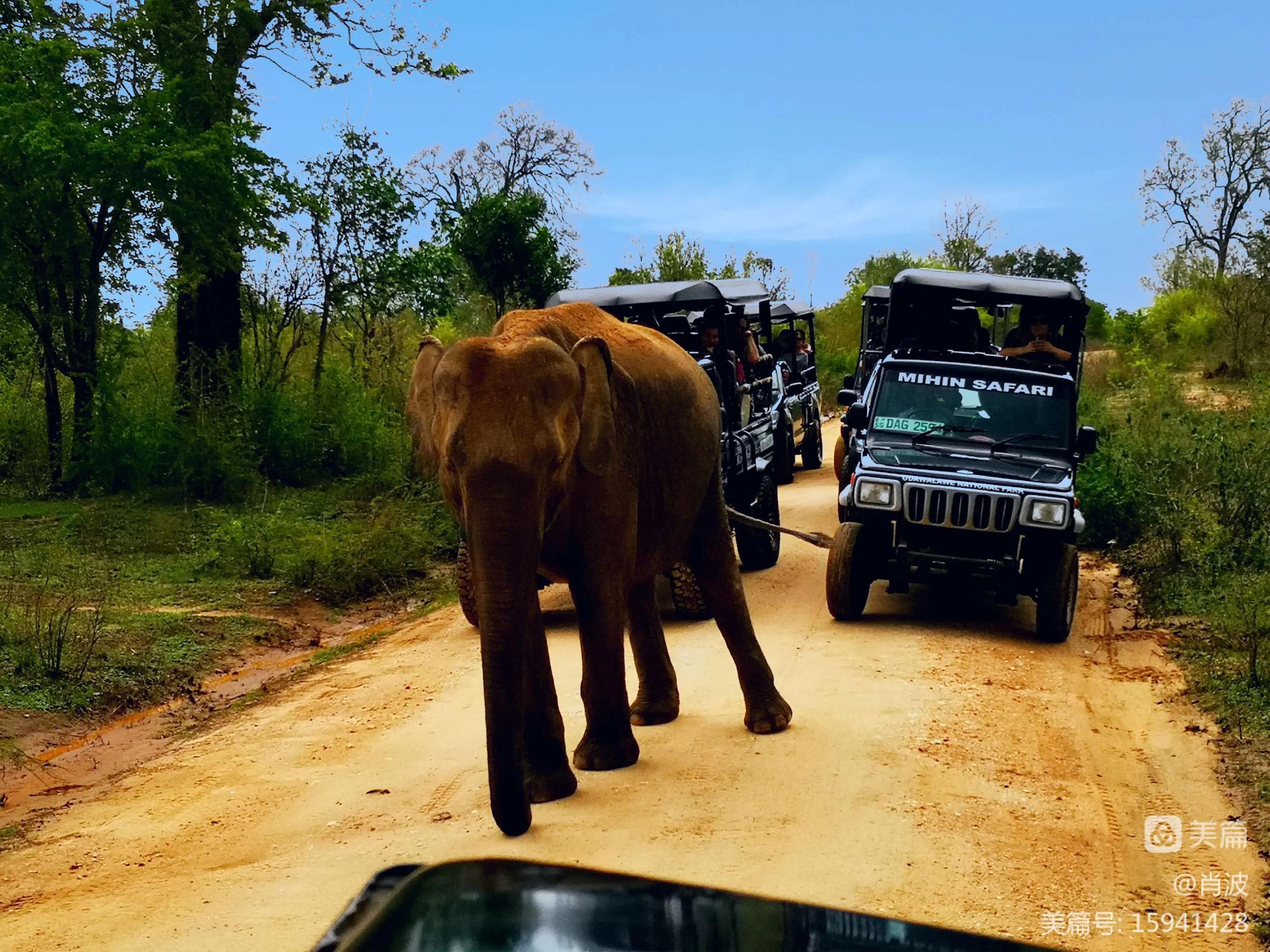你所不知道的斯里兰卡,你不知道的斯里兰卡冷知识