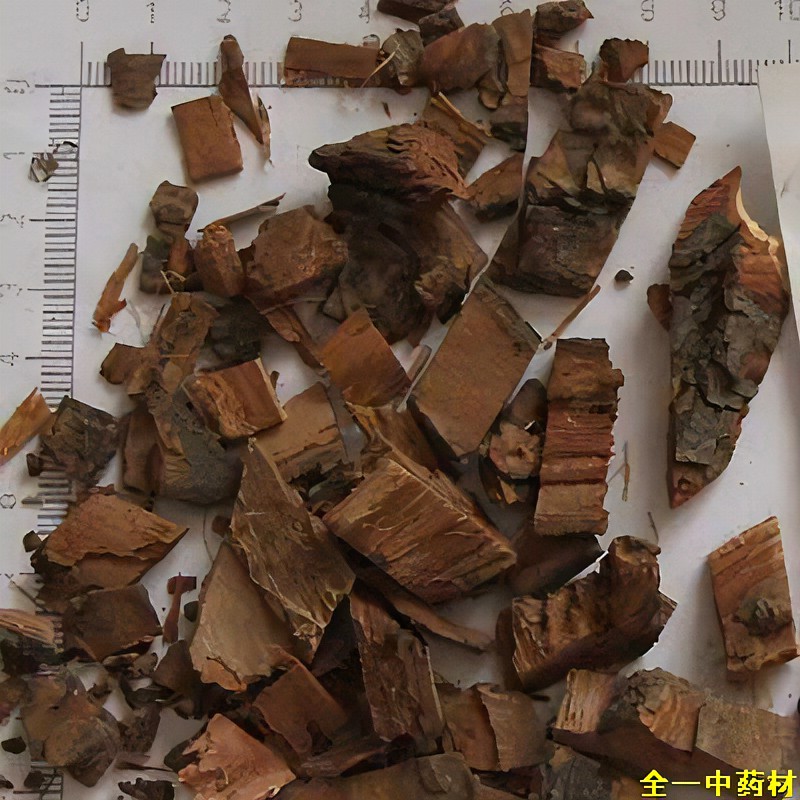 中医最有效的接骨药方,续筋接骨中药外敷方剂