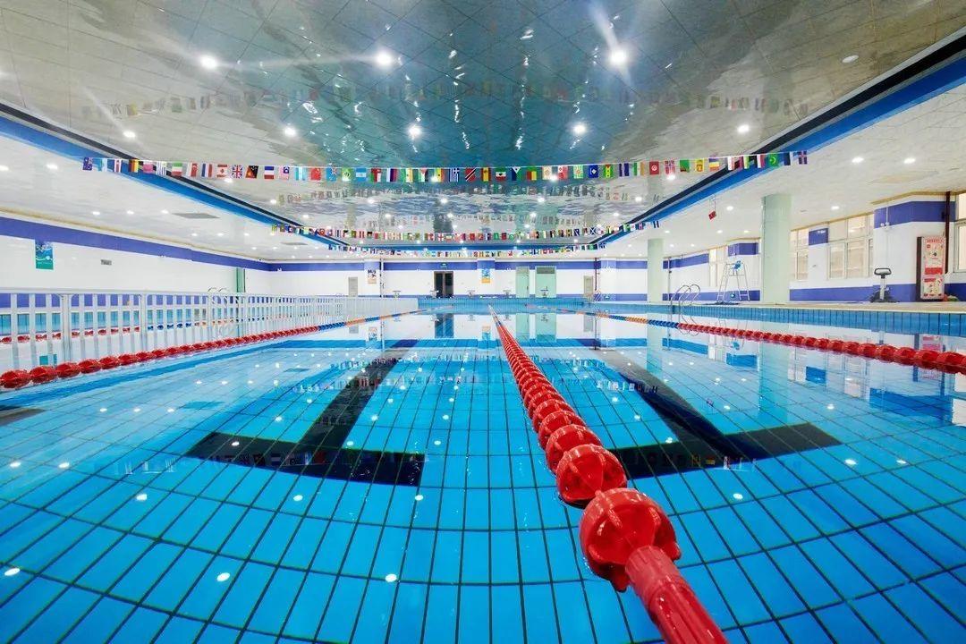 高新区中嘉学校,高新中嘉学校官网