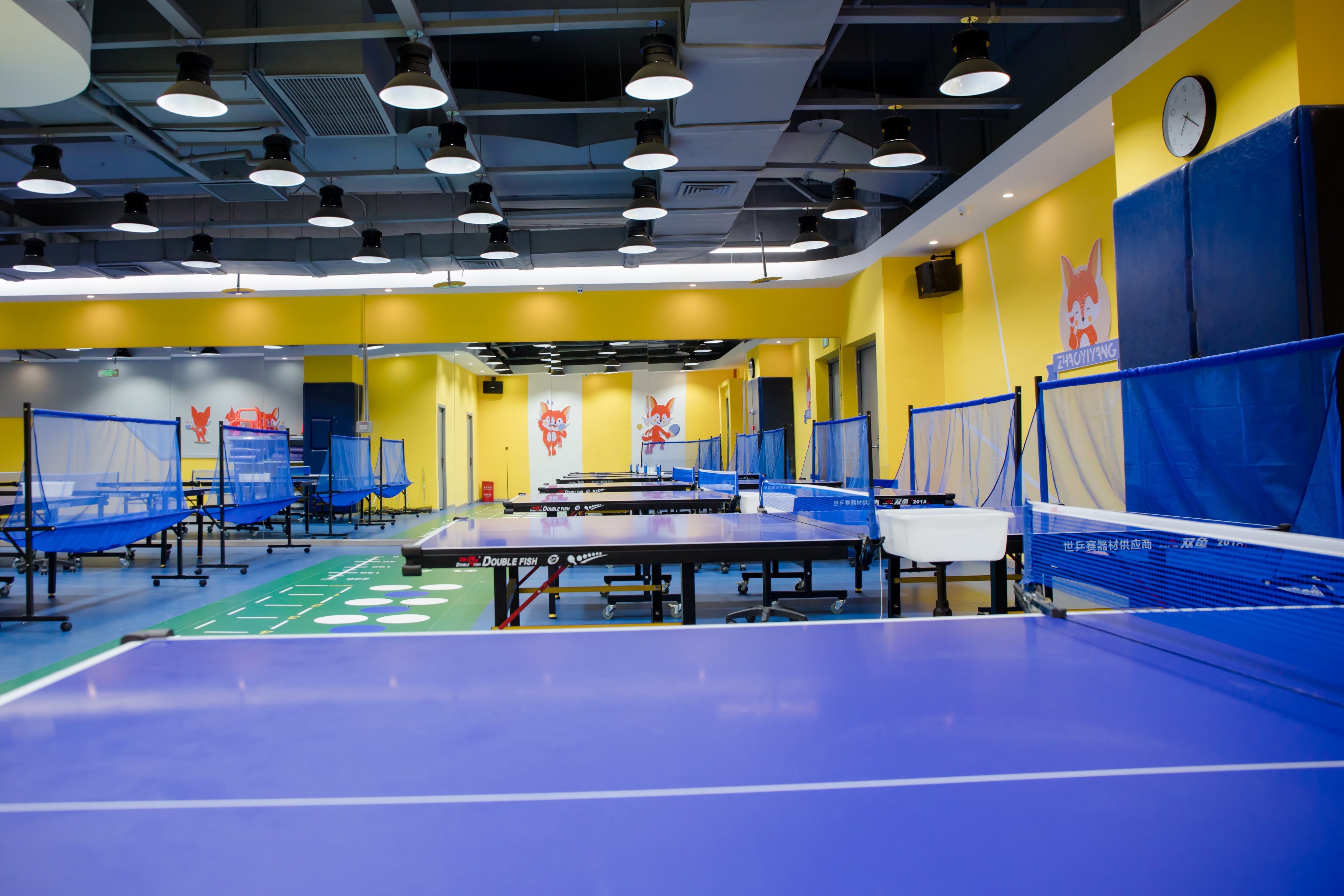 少儿乒乓球体育培训课程,孩子乒乓球冬训训练计划